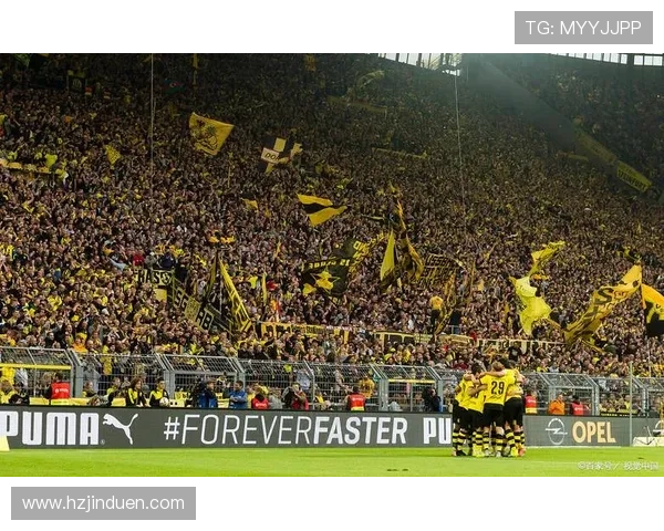 诺丁汉森林本赛季整体实力表现稳健，竞争力持续提升